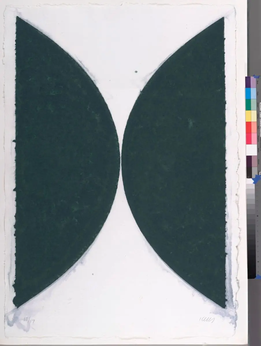 Colored Paper Images - II by Ellsworth Kelly