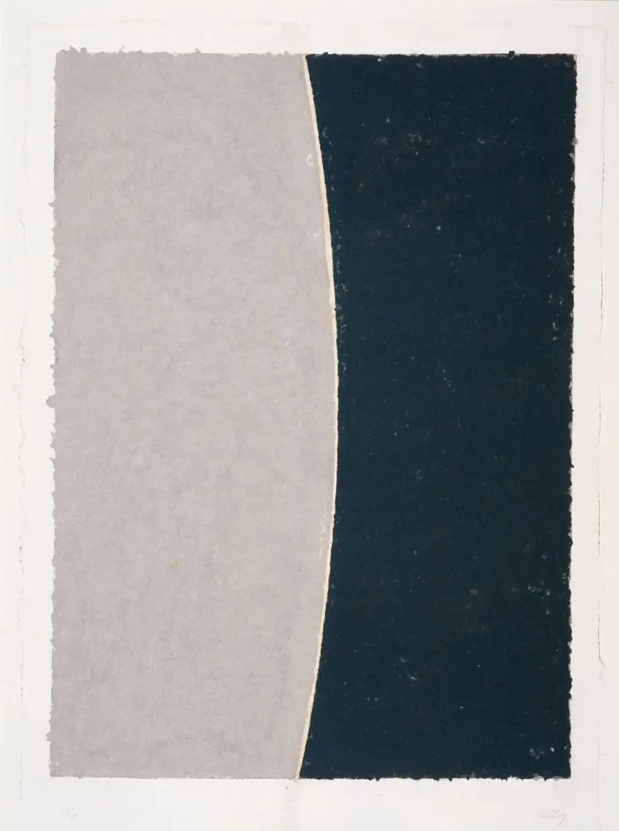 Colored Paper Images - VIII by Ellsworth Kelly