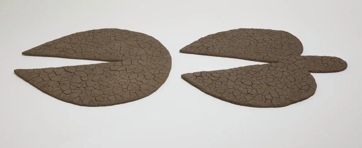 Untitled by Ana Mendieta by Ana Mendieta