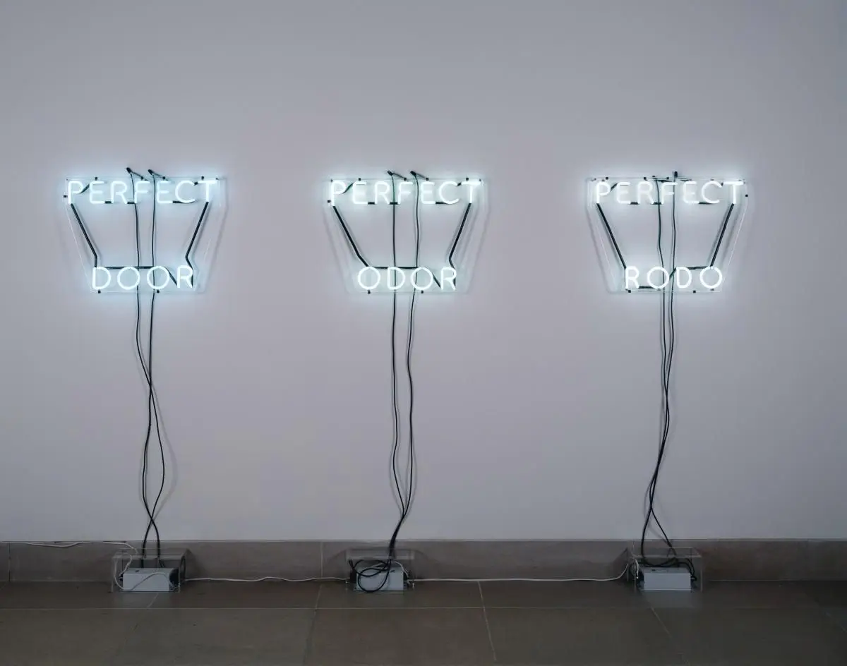 Perfect Door/Perfect Odor/Perfect Rodo by Bruce Nauman