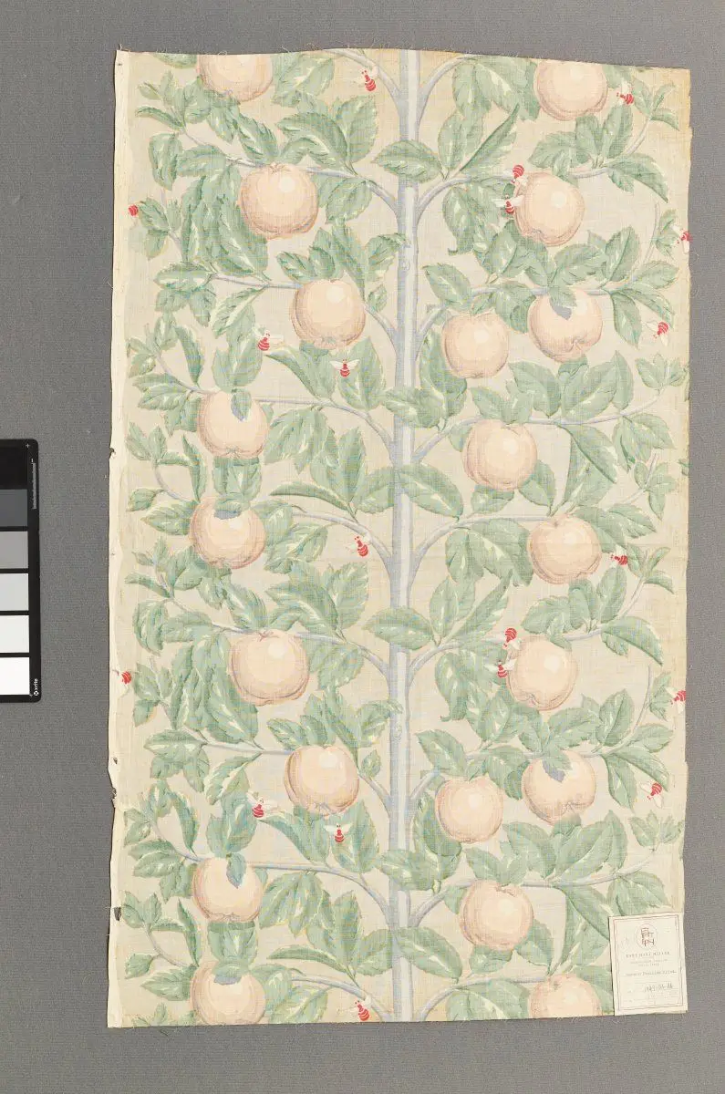 Modern Espalier Print by Unknown (0 - 0)