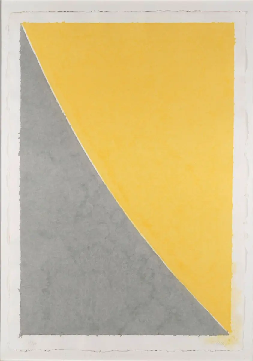 Colored Paper Images - VII by Ellsworth Kelly