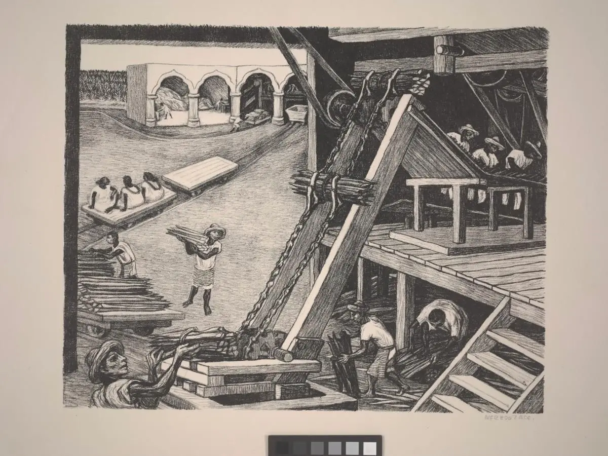 Henequen Plant by Alfredo Zalce