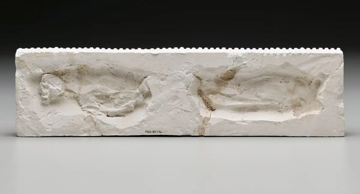 Ornamentation from Garrick Theater in Schiller Building, Chicago by Louis Sullivan