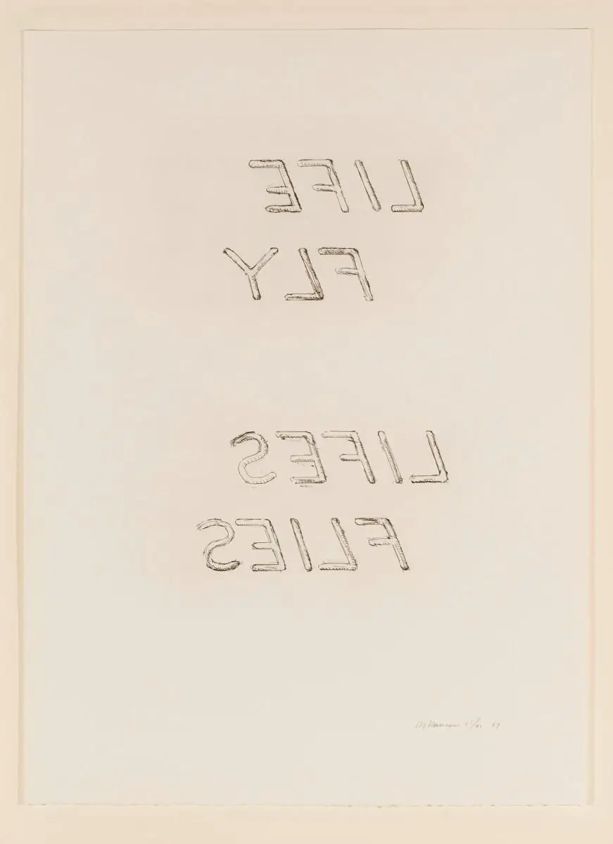 Life Fly Lifes Flies by Bruce Nauman