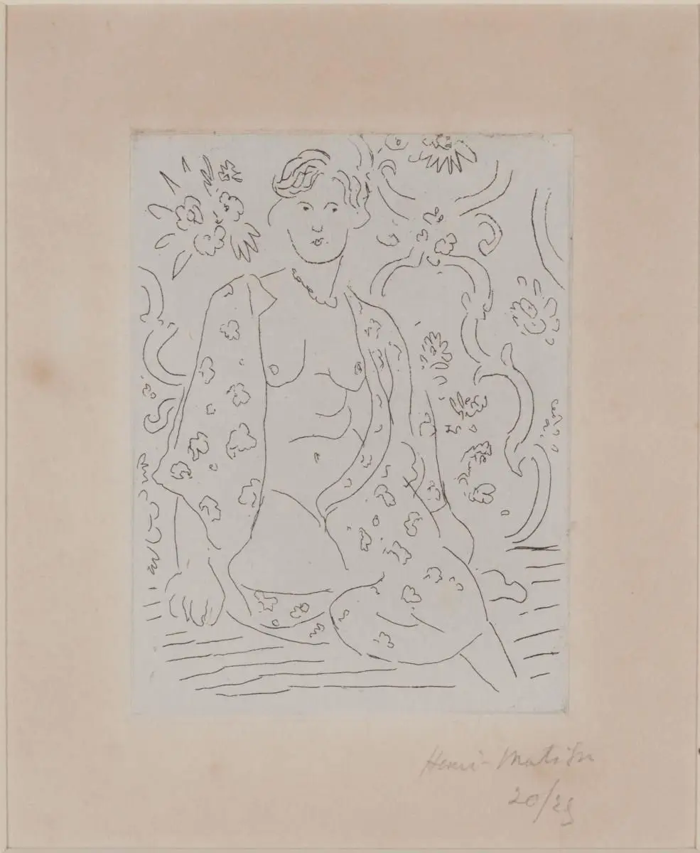 The Arabic Robe by Henri Matisse