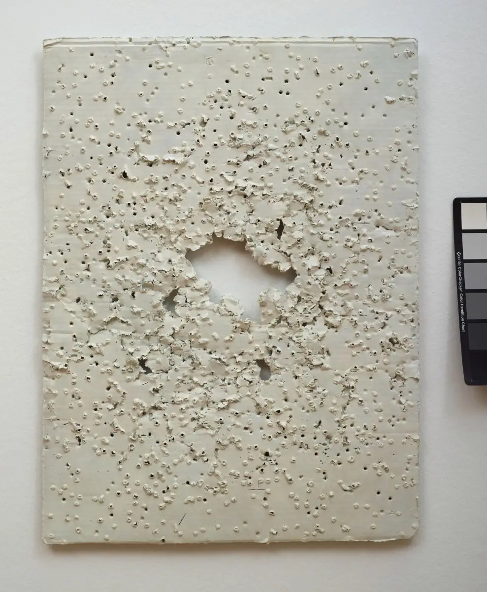 Plate 40 by Ricky Swallow