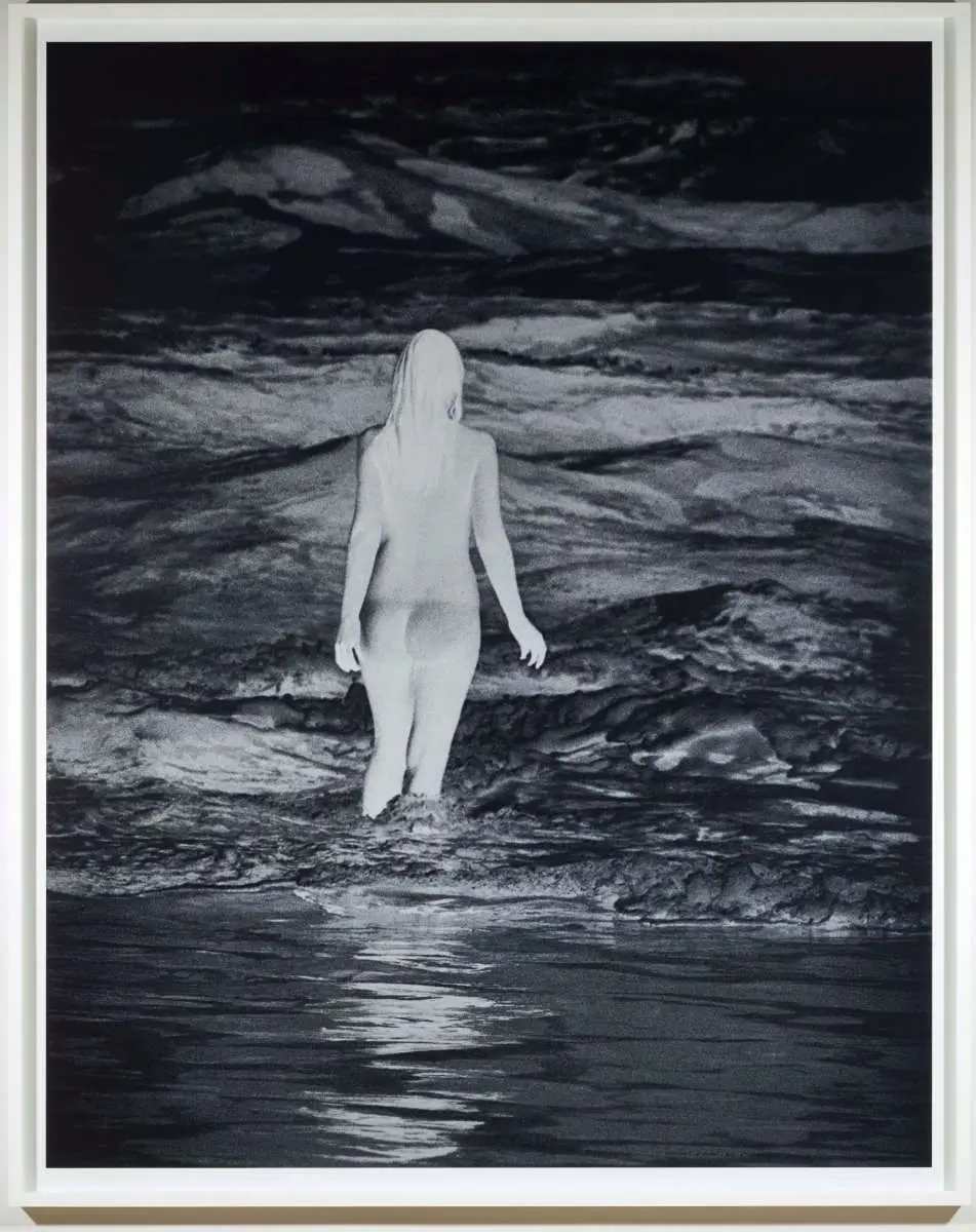 Negative (California) by Anne Collier