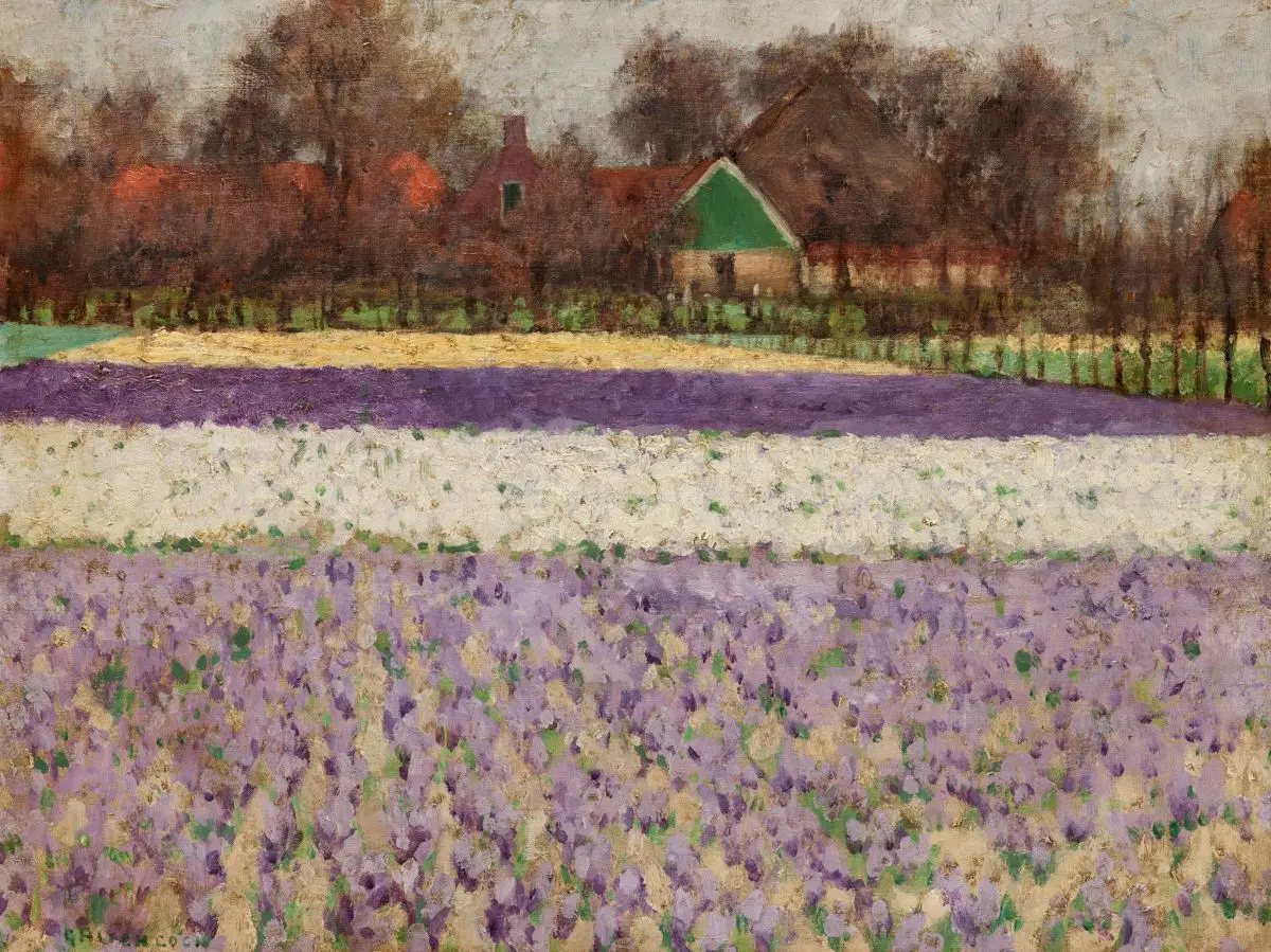 Field of Hyacinths by George Hitchcock