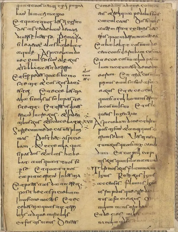 Bible, Latin (Daniel fragment). by Unknown artist