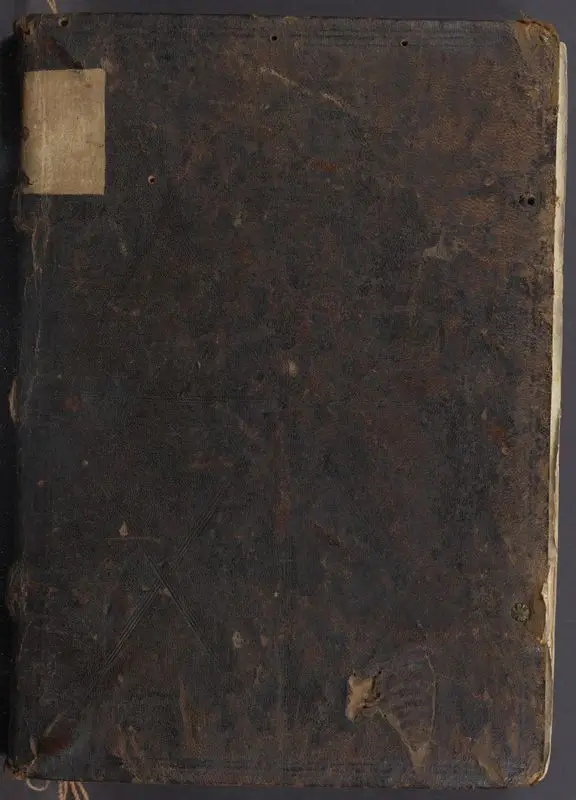 Statii surculi tolosani Achilleidos ... [etc.] by Unknown artist