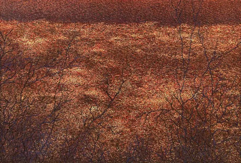 War Landscape by Mosiyevych, Olena