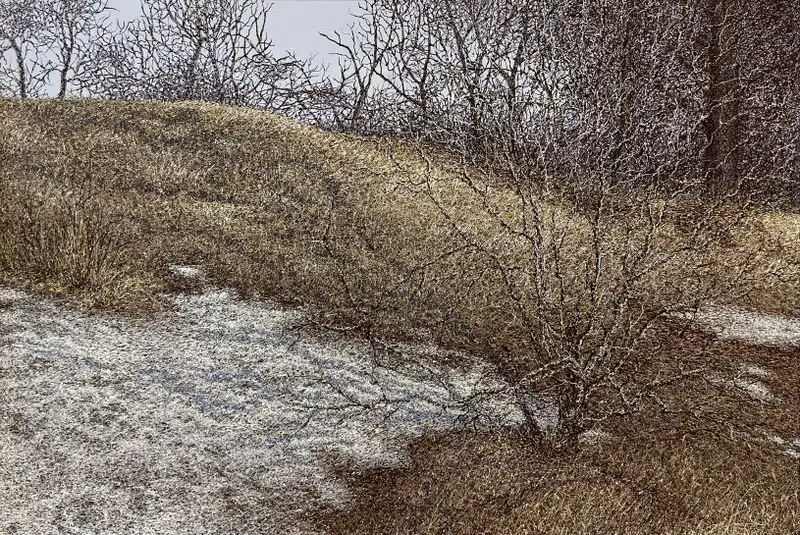 Disappearing by Mosiyevych, Olena