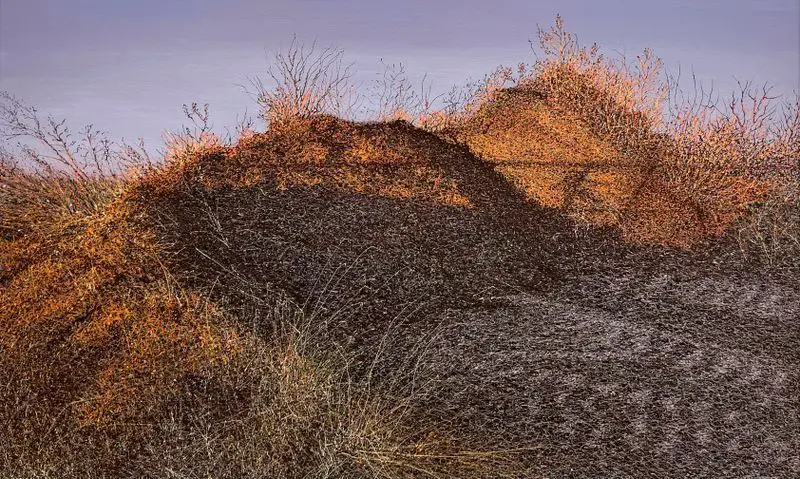 Pharaohs by Mosiyevych, Olena