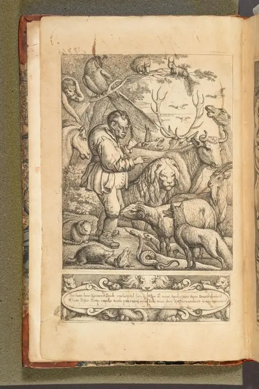 Aesop's fables with his life. In English French & Latine. The English by Tho. Philpott. by Aesop