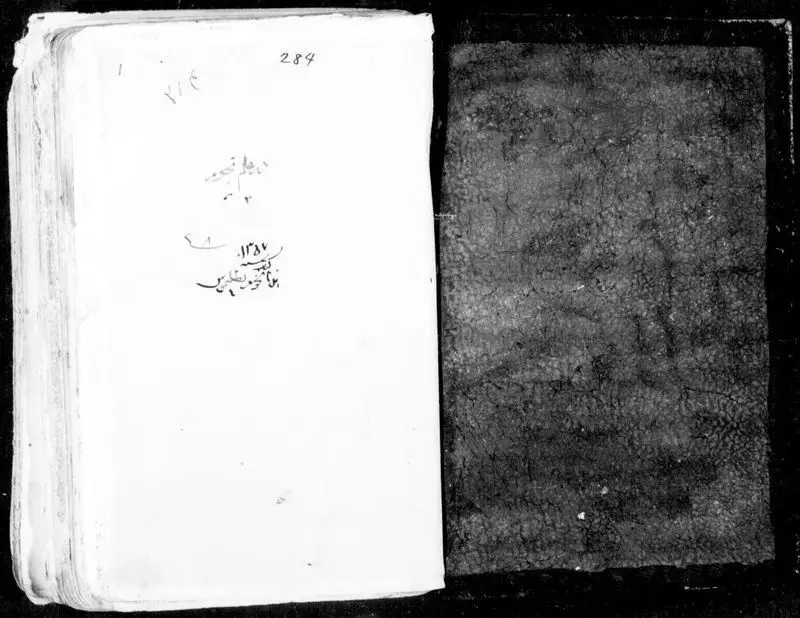هذا کتاب نجوم بطلمىوس ; رساله معىنيه در علم هيئت. by Ṭūsī, Naṣīr al-Dīn Muḥammad ibn Muḥammad, 1201-1274