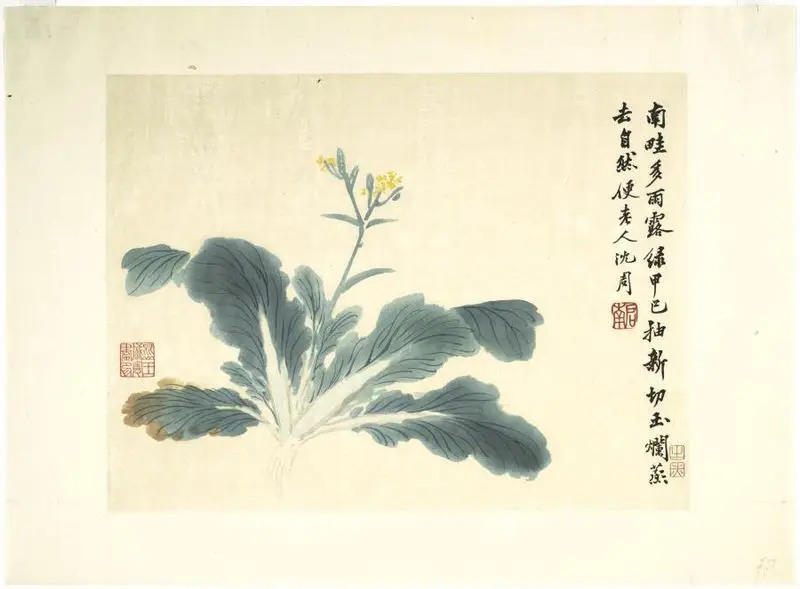 Yellow flower by Unknown artist