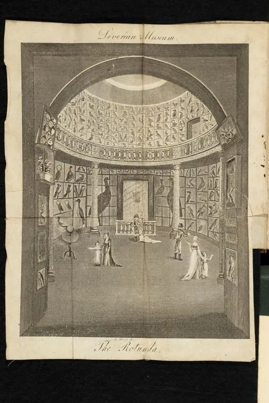 Visits to the Leverian Museum : containing an account of several of its principal curiosities, both of nature and art ; intended for the instruction of young persons in the first principles of natural history by Unknown artist
