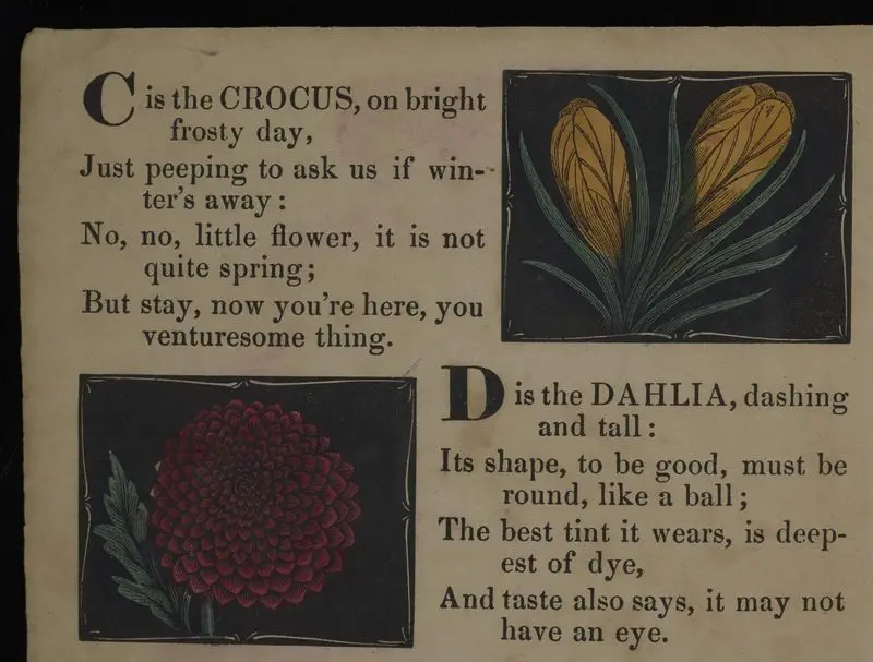 The alphabet of flowers. by Unknown artist