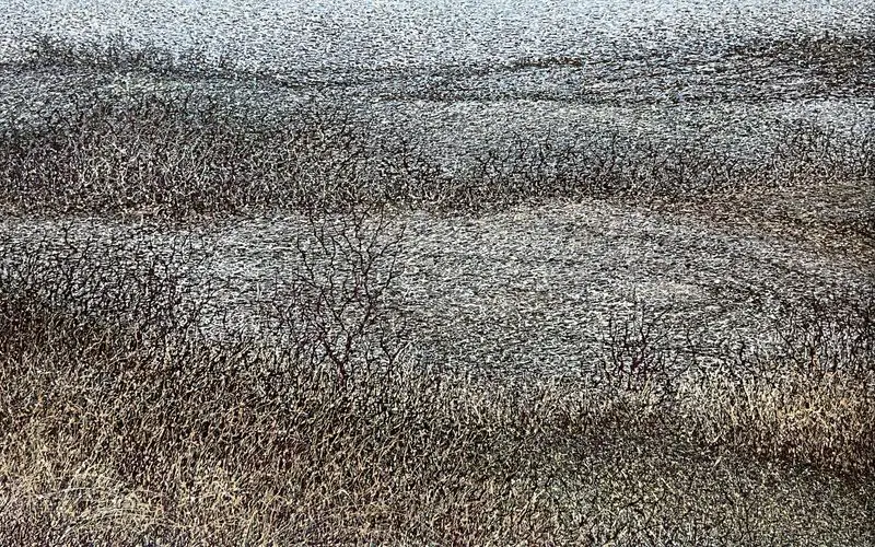 First snow by Mosiyevych, Olena