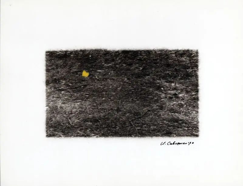 Бабочка, Ждановичи by Савченко, Игорь