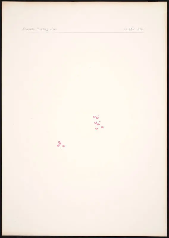 Plate XXI: Eleventh printing alone. by Gaulard