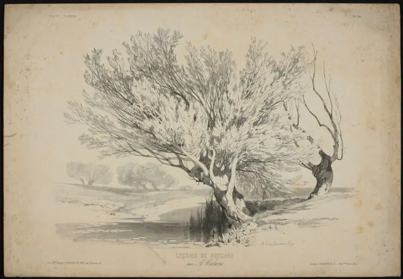 Lecons de paysage, No. 56 // [Landscape lessons, No. 56]. by Calame