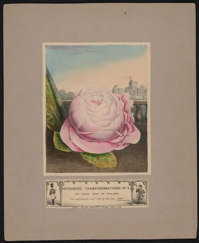 Spooner's transformations. No. 5. : The royal rose of England. by Spooner, William, active 1831-1854