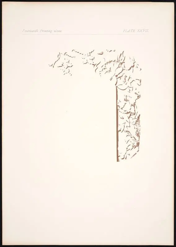 Plate XXVII: Fourteenth printing alone. by Gaulard