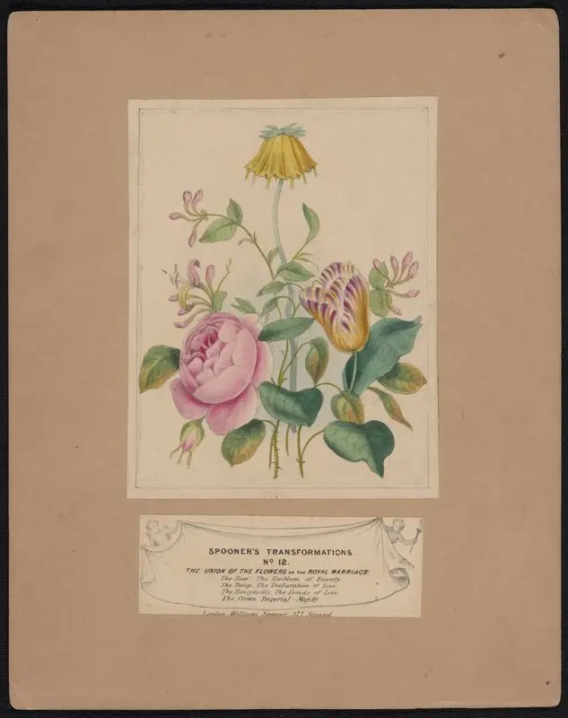 Spooner's transformations. No. 12, The union of the flowers, or, The royal marriage. by Unknown artist