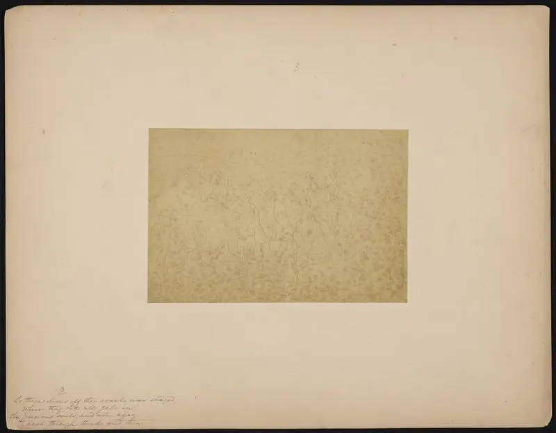 The diverting history of John Gilpin [03]. by Ehninger, John Whetton, 1827-1889