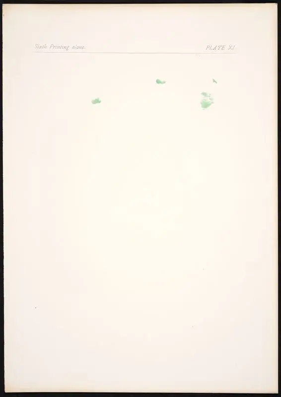 Plate XI: Sixth printing alone. by Gaulard