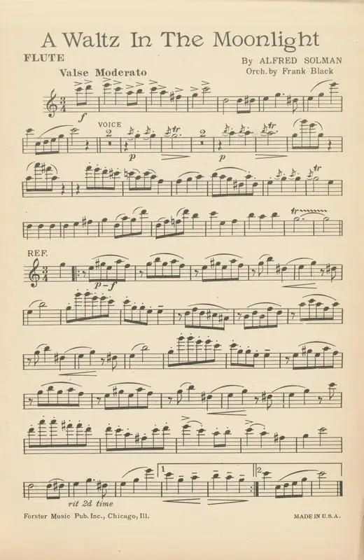 A waltz in the moonlight by Solman