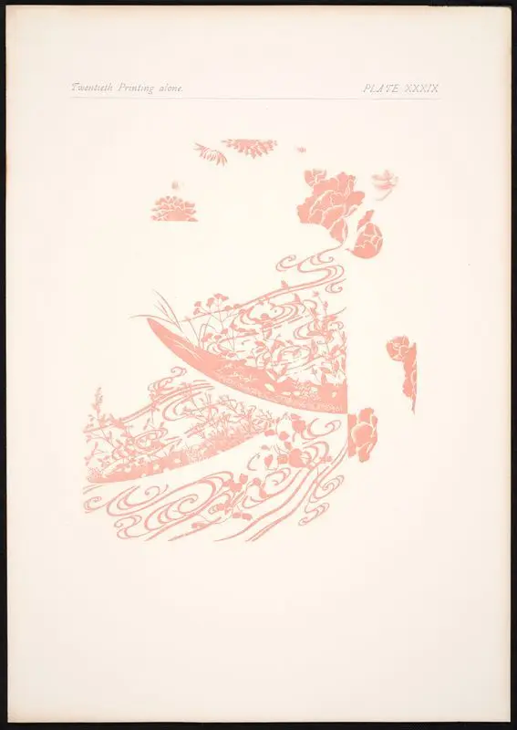 Plate XXXIX: Twentieth printing alone. by Gaulard