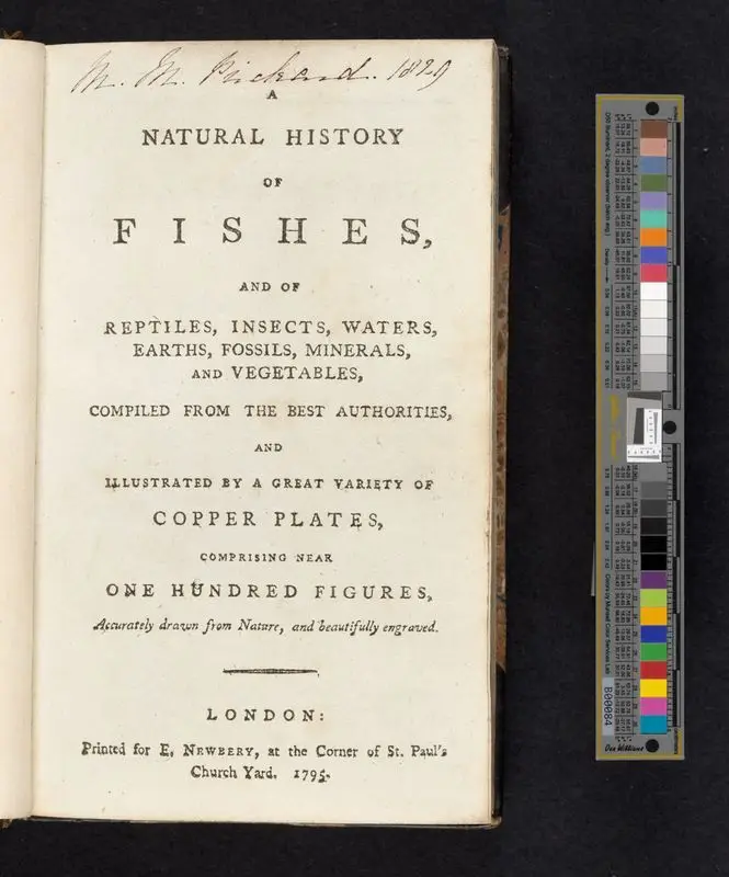 A natural history of fishes : and of reptiles, insects, waters, earths, fossils, minerals, and vegetables : compiled from the best authorities, and illustrated by a great variety of copper plates, comprising near one hundred figures, accurately drawn from nature, and beautifully engraved. by Jones