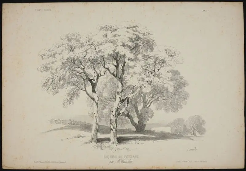 Lecons de paysage, No. 57 // [Landscape lessons, No. 57]. by Calame