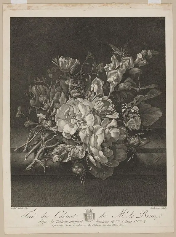 Floral piece by Meer, N. van der (unknown artist), active 1760