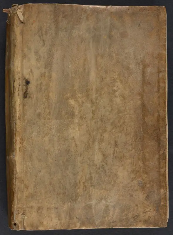 De fallaciis que sepius occurrunt in sacra pagina ... [etc.] by Unknown artist