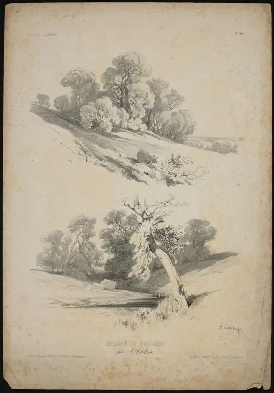 Lecons de paysage, No. 36 // [Landscape lessons, No. 36]. by Calame