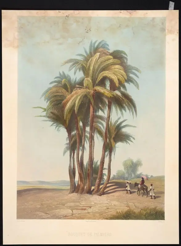 Bouquet de palmiers // [Cluster of palm trees]. by Horeau