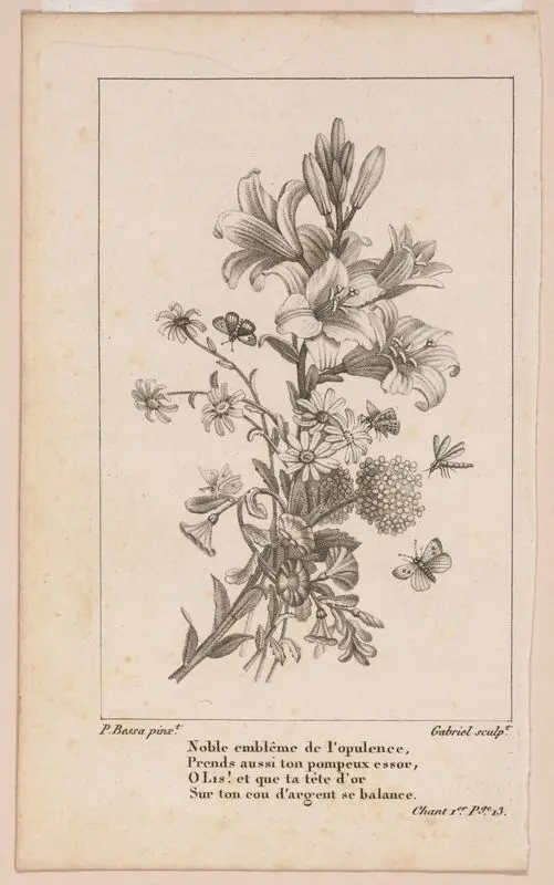 Flora historica, p. 13 - Noble embleme de l'opulence // [Flora historica, p. 13 - Noble emblem of opulence]. by Gabriel