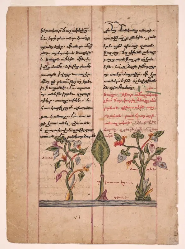 Alexander romance by Unknown artist