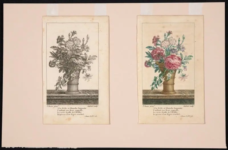 Flora historica, p. 58 - A la frele et blanche baguette // [Flora historica, p. 58 - To the frail, white stem]. by Gabriel