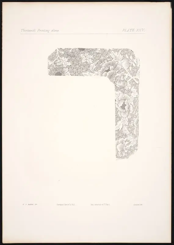 Plate XXV: Thirteenth printing alone. by Gaulard