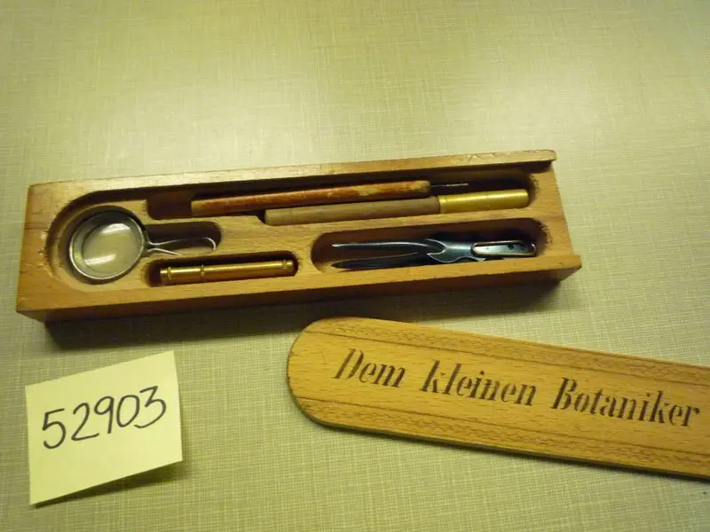 Dem kleinen Botaniker. by Unknown artist