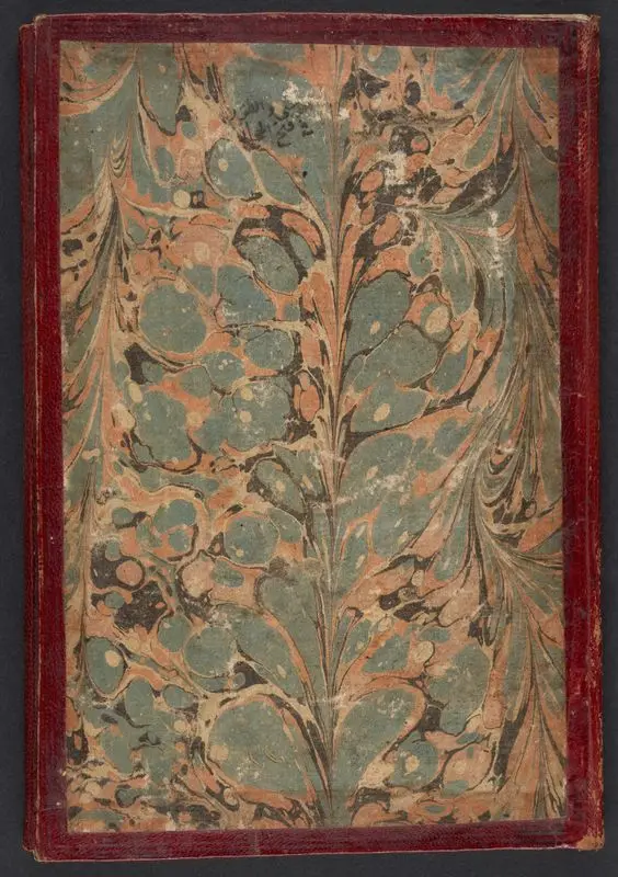 الوشى والطراز فى فتح الحجاز. by Unknown artist