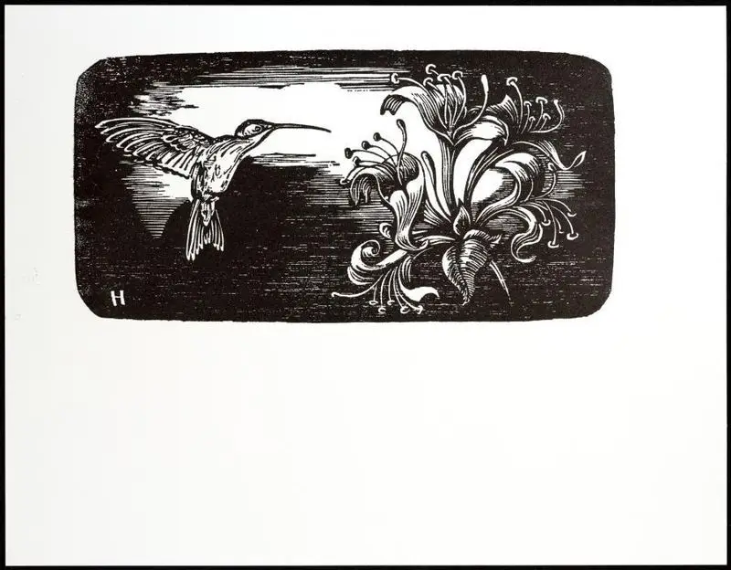 Picaflor / H. by Homar