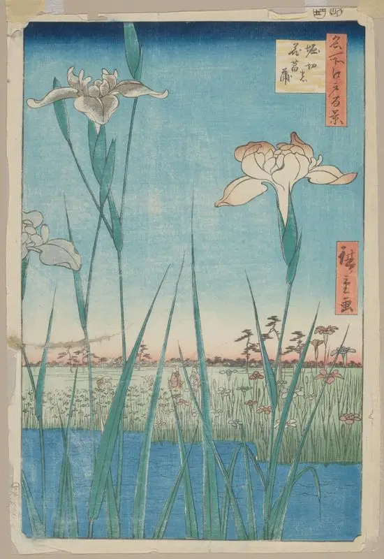 Horikiri Iris Gardens. by Andō