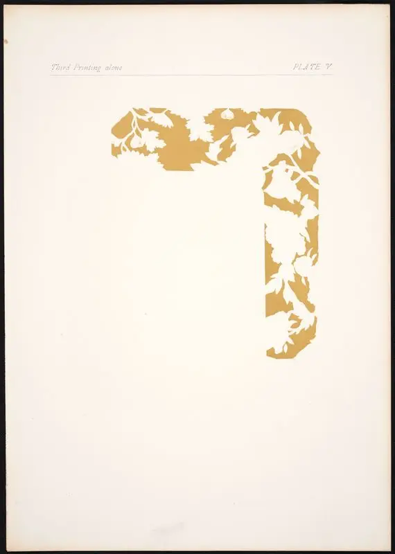 Plate V: Third printing alone. by Gaulard