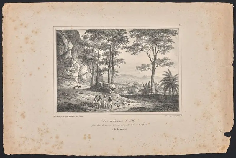 Vue interieure de l'ile, prise dans les environs du jardin des plantes de la ville de St. Denis (Ile Bourbon) // [Interior view of the island, taken near the botanical garden of the city of St. Denis (Bourbon Isle)]. by Bichebois